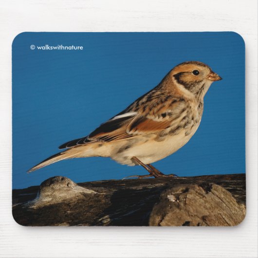 日に照らされたログにラップランドのロングスパーのバンティングソングバード マウスパッド (正面)
