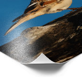 日に照らされた丸太のラップランド・ロンスパー フォトプリント            (角)