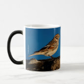 日に照らされた丸太のラップランド・ロンスパー モーフィングマグカップ (左)