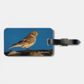 日に照らされた丸太のラップランド・ロンスパー ラゲッジタグ (裏面横)