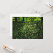 日に照らされた低成長。カーディフ・ブラックワイア・ウッズ カード (正面/裏面インサイチュ)