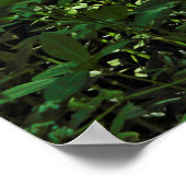 日に照らされた低成長。カーディフ・ブラックワイア・ウッズ ポスター (角)