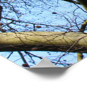 日に照らされた冬の枝 ポスター (角)