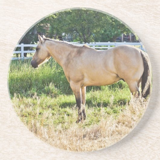 日に照らされた拍手の朝 コースター (正面)