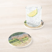 日に照らされた拍手の朝 コースター (側面)