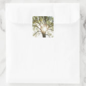 日に照らされた木 スクエアシール (バッグ)