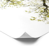 日に照らされた木 ポスター (角)