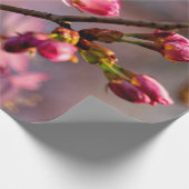 日に照らされた桜の花と芽澄んを日に ラッピングペーパー (角)