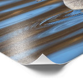 日に照らされた海の上の甘いバッファヘッドアヒル フォトプリント (角)