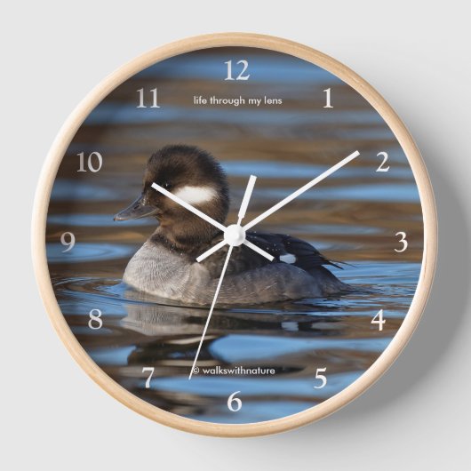 日に照らされた海の上の甘いバッファヘッドアヒル 壁時計 (正面)