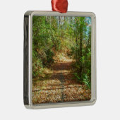 日に照らされた秋の森林歩道 メタルオーナメント (右)