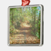 日に照らされた秋の森林歩道 メタルオーナメント (左)