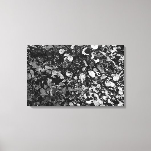 日に照らされた葉 キャンバスプリント (正面)