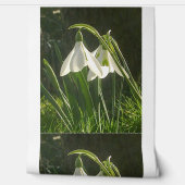 日に照らされた雪の壁紙 壁紙 (ほどく)