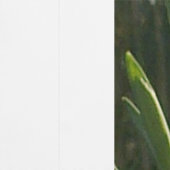 日に照らされた雪の壁紙 壁紙 (縫い目)