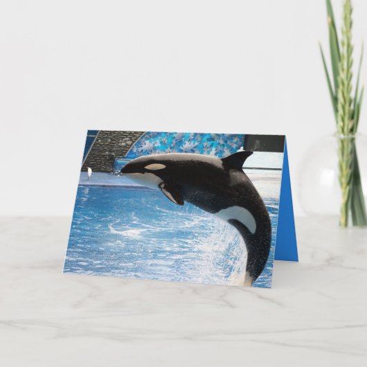 日のクジラを持って下さい! カード (正面)