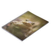 日のヒキガエル ノートブック (左側)