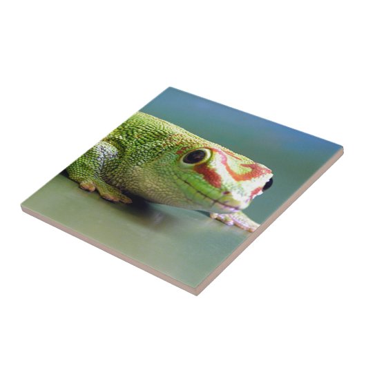 日のヤモリ タイル (側面)