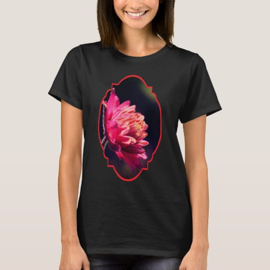 日の光に照らされた赤い花  Tシャツ (正面)