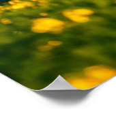 日の光の中の静かな農村風景。美しい蘇 ポスター (角)