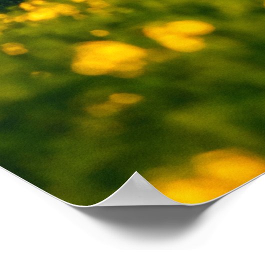 日の光の中の静かな農村風景。美しい蘇 ポスター (角)