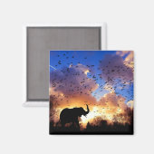 日の入り時のアフリカゾウのシルエット マグネット (正面/裏面)