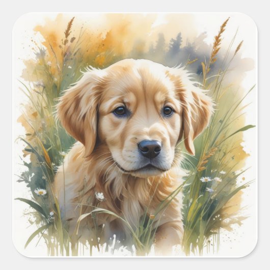 日の入り時のゴールデンレトリバーの子犬 スクエアシール (正面)