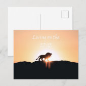 日の入り時のライオン Living on the EDGE ポストカード (正面/裏面)