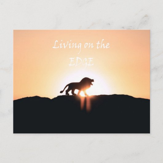 日の入り時のライオン Living on the EDGE ポストカード (正面)