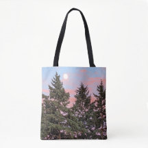 日の入り時の月（ピンクの雲あり）