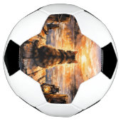日の入り時の桟橋の猫 サッカーボール (回転)