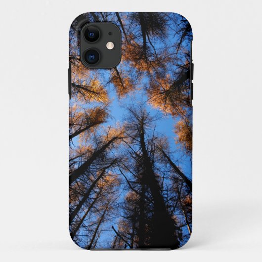 日の入り時の秋の木々 Case-Mate iPhoneケース (裏面)