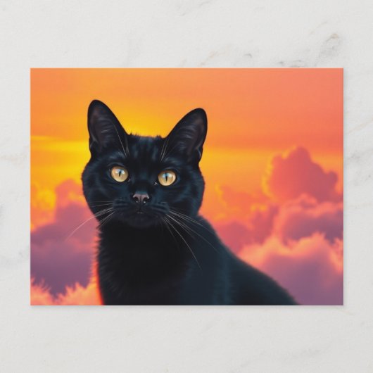 日の入り時の黒猫のシルエット ポストカード (正面)