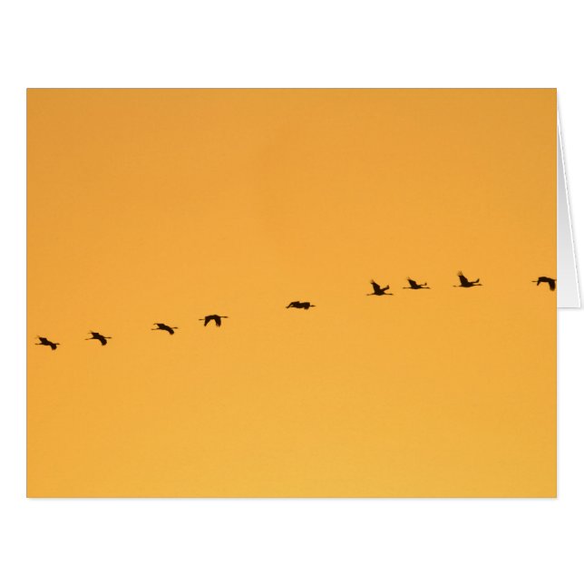 日の出でクレーン (正面横)