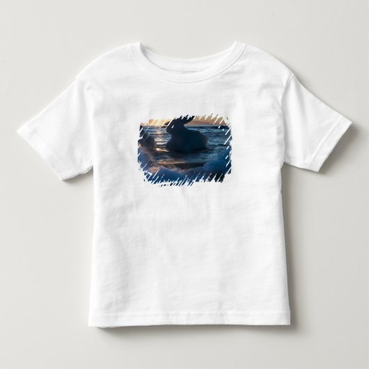 日の出と氷山の形成 トドラーTシャツ (正面)