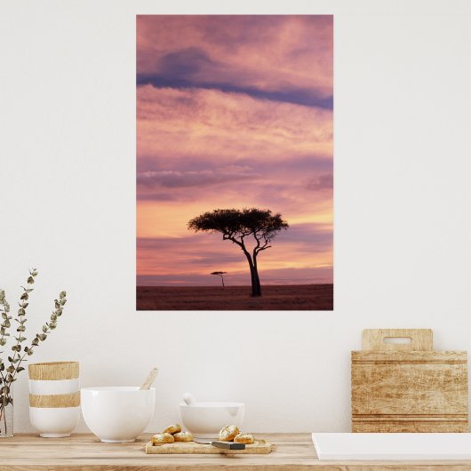 日の出のアカシアのシルエット画像 ポスター (キッチン)