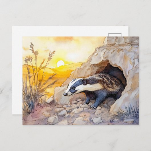日の出のウォーターコロで巣穴から現れるアナグマ ポストカード (正面/裏面)