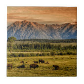 日の出のバイソン タイル (正面)