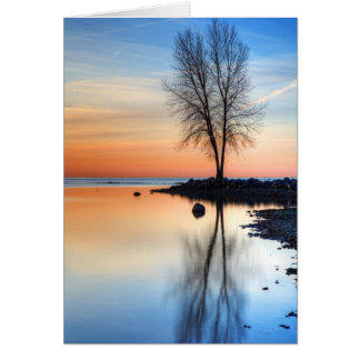 日の出のパレット