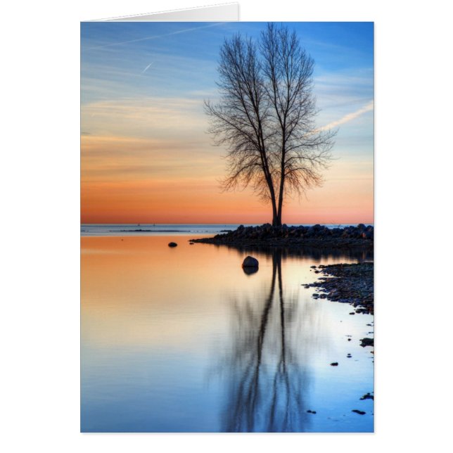 日の出のパレット (正面)