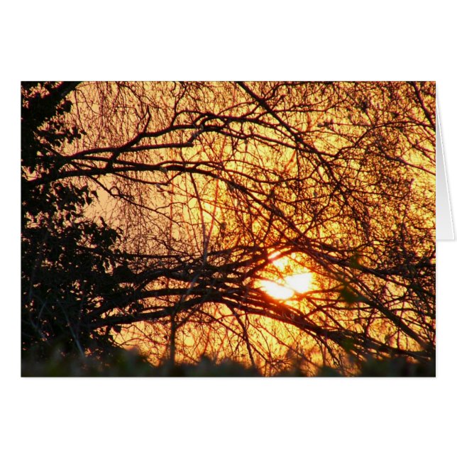 日の出のメモ (正面横)