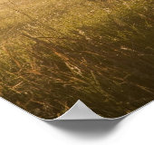 日の出の光はチャロ近くのフェンスに沿って霧を立てる ポスター (角)