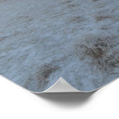 日の出の冬樹 ポスター (角)