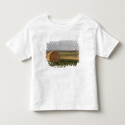 日の出の山が付いている分野の干し草ベール トドラーTシャツ (正面)
