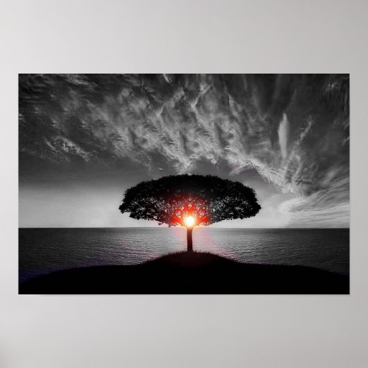 日の出の日没：カラスプラッシュ ポスター (正面)