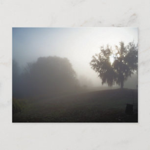 日の出の早い霧の朝 ポストカード