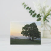 日の出の木 ポストカード (スタンド正面)