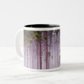 日の出の松の間の霧エバーグレーズ ツートーンマグカップ (正面左)