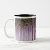 日の出の松の間の霧エバーグレーズ ツートーンマグカップ (左)