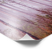 日の出の松の間の霧エバーグレーズ フォトプリント            (角)